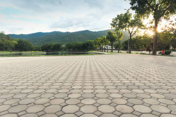 Best Affordable Driveway Pavers  in Wapakoneta, OH